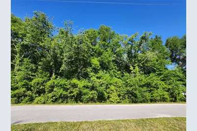 Tbd SW Yazoo Court, Dunnellon, FL 34431 - Photo 2