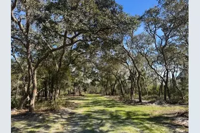 Ne 150th Ave Road #LOT 3, Fort Mc Coy, FL 32134 - Photo 4