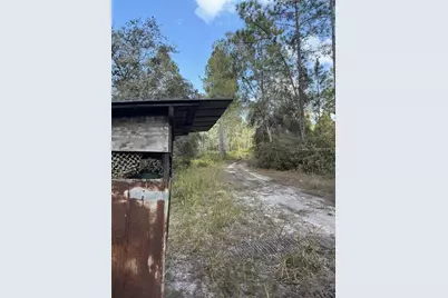 Ne 150th Ave Road #LOT 3, Fort Mc Coy, FL 32134 - Photo 20