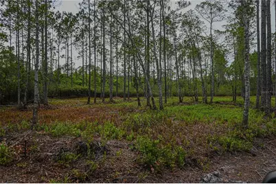 Ne 150th Ave Road #LOT 3, Fort Mc Coy, FL 32134 - Photo 34
