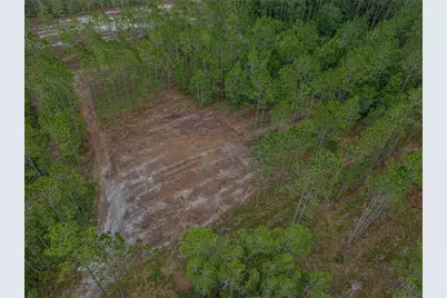 Ne 150th Ave Road #LOT 3, Fort Mc Coy, FL 32134 - Photo 26