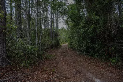 Ne 150th Ave Road #LOT 3, Fort Mc Coy, FL 32134 - Photo 36