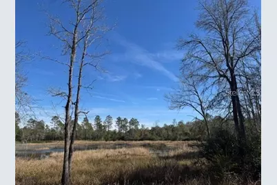 Ne 150th Ave Road #LOT 3, Fort Mc Coy, FL 32134 - Photo 16