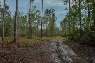 Ne 150th Ave Road #LOT 3, Fort Mc Coy, FL 32134 - Photo 42