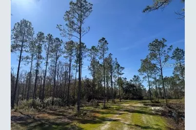 Ne 150th Ave Road #LOT 3, Fort Mc Coy, FL 32134 - Photo 12