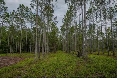 Ne 150th Ave Road #LOT 3, Fort Mc Coy, FL 32134 - Photo 28