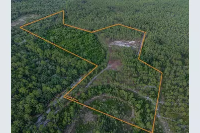 Ne 150th Ave Road #LOT 3, Fort Mc Coy, FL 32134 - Photo 22