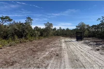 Ne 150th Ave Road #LOT 3, Fort Mc Coy, FL 32134 - Photo 18