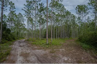 Ne 150th Ave Road #LOT 3, Fort Mc Coy, FL 32134 - Photo 46