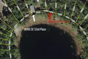 Tbd SE 52nd Pl, Ocklawaha, FL 32179 - Photo 1
