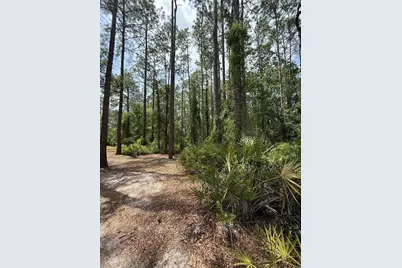 Tbd NE 156th Lane, Fort Mc Coy, FL 32134 - Photo 2
