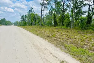 0000 NE 132 Terrace Terrace, Williston, FL 32696 - Photo 1
