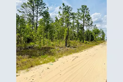 0000 NE 132 Terrace Terrace, Williston, FL 32696 - Photo 1