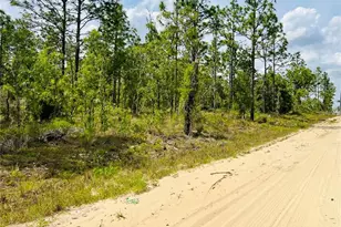 0000 NE 132 Terrace Terrace, Williston, FL 32696 - Photo 1