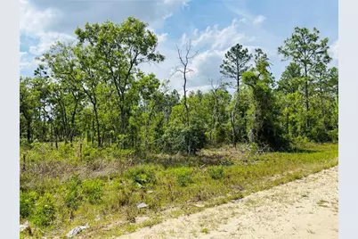 0000 NE 132 Terrace Terrace, Williston, FL 32696 - Photo 1