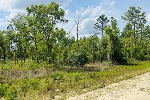 0000 NE 132 Terrace Terrace, Williston, FL 32696 - Photo 1