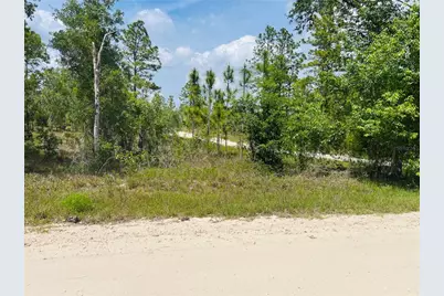 0000 NE 132 Terrace Terrace, Williston, FL 32696 - Photo 1