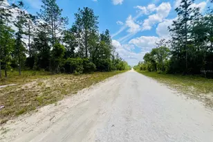 0000 NE 131 Terrace, Williston, FL 32696 - Photo 1