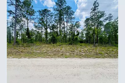 0000 NE 131 Terrace Terrace, Williston, FL 32696 - Photo 4