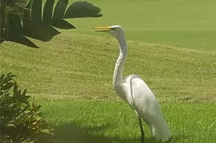 6816 S W 95th Cir, Ocala, FL 34481 - Photo 96