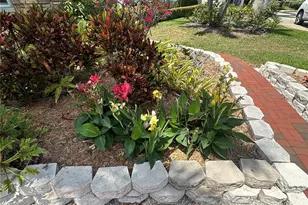 852 3rd Ave S, Tierra Verde, FL 33715 - Photo 54