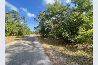 Tbd Sequoia Drive Lot # 16, Ocklawaha, FL 32179 - Photo 2