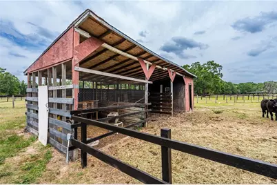 10631 W Highway 40, Ocala, FL 34482 - Photo 10