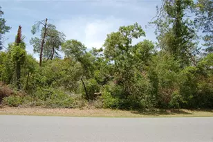 Tbd SW 41 Circle, Ocala, FL 34473 - Photo 1