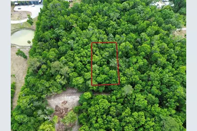 Tbd SE 41st Terrace, Belleview, FL 34420 - Photo 2