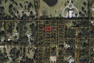 Tbd SE 41st Terrace, Belleview, FL 34420 - Photo 1