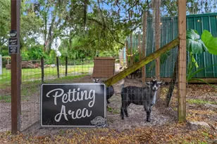 889 SW 165th St, Ocala, FL 34473 - Photo 66