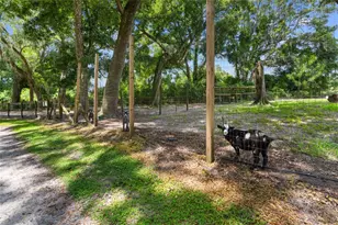 889 SW 165th St, Ocala, FL 34473 - Photo 10