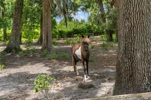 889 SW 165th St, Ocala, FL 34473 - Photo 42