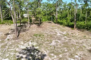 2005 Columbus Ave, Alva, FL 33920 - Photo 8