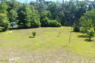 2531 NE 167 Ave, Williston, FL 32696 - Photo 6