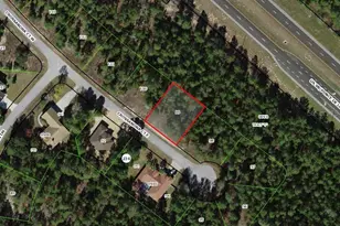 7 Crossandra Ct E, Homosassa, FL 34446 - Photo 1