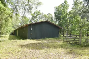 3019 NE 709th Ave, Old Town, FL 32680 - Photo 56