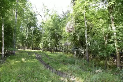 3019 NE 709th Avenue, Old Town, FL 32680 - Photo 52