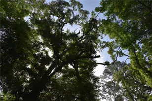 3019 NE 709th Ave, Old Town, FL 32680 - Photo 50