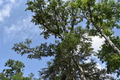 3019 NE 709th Avenue, Old Town, FL 32680 - Photo 44