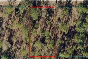 Lot 15 NW Hillsdale Ave, Dunnellon, FL 34431 - Photo 1