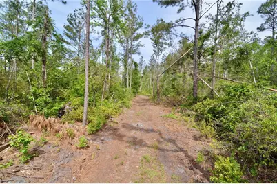 Rock Island Road, Perry, FL 32347 - Photo 18