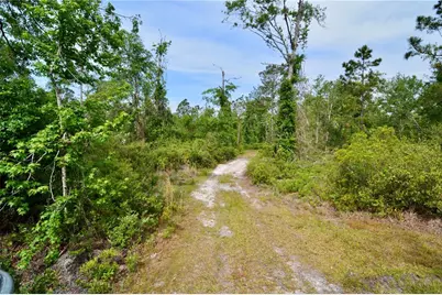 Rock Island Road, Perry, FL 32347 - Photo 16