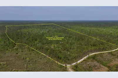 Rock Island Road, Perry, FL 32347 - Photo 4