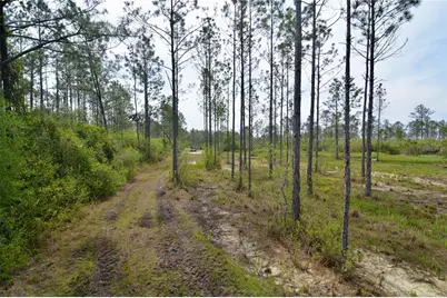 Rock Island Road, Perry, FL 32347 - Photo 22