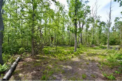 Rock Island Road, Perry, FL 32347 - Photo 14