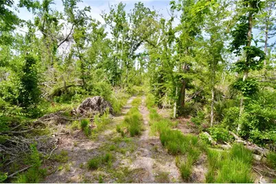 Rock Island Road, Perry, FL 32347 - Photo 12