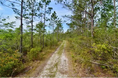 Rock Island Road, Perry, FL 32347 - Photo 10