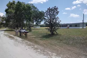 29431 NW 46 Ave, Newberry, FL 32669 - Photo 2