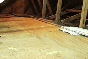 13816 SW 112th Terrace, Dunnellon, FL 34432 - Photo 56